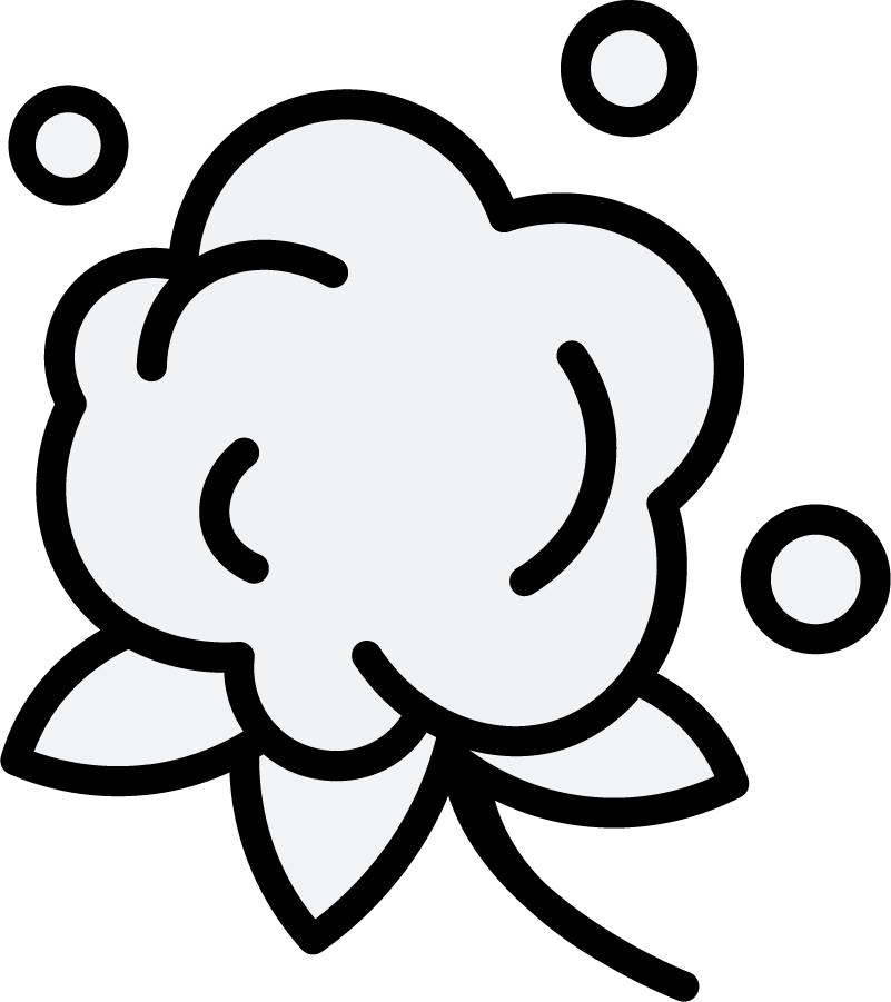 כותנה משובחת