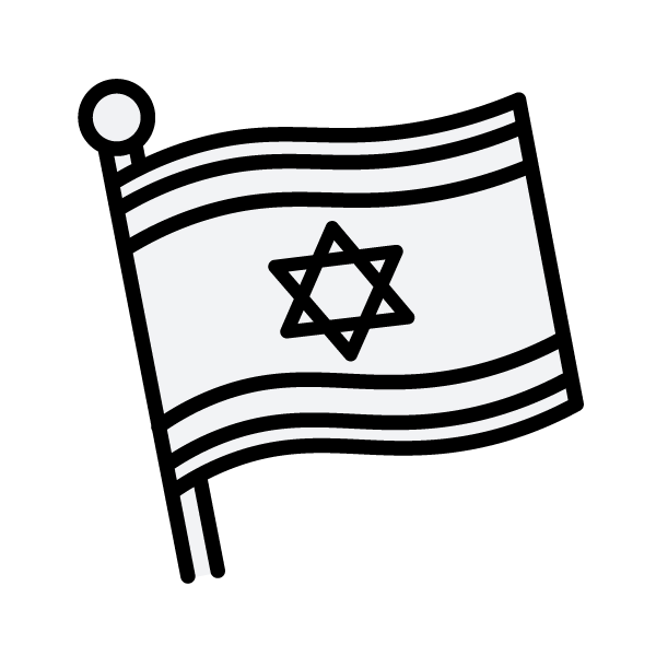 מייד אין איזראל