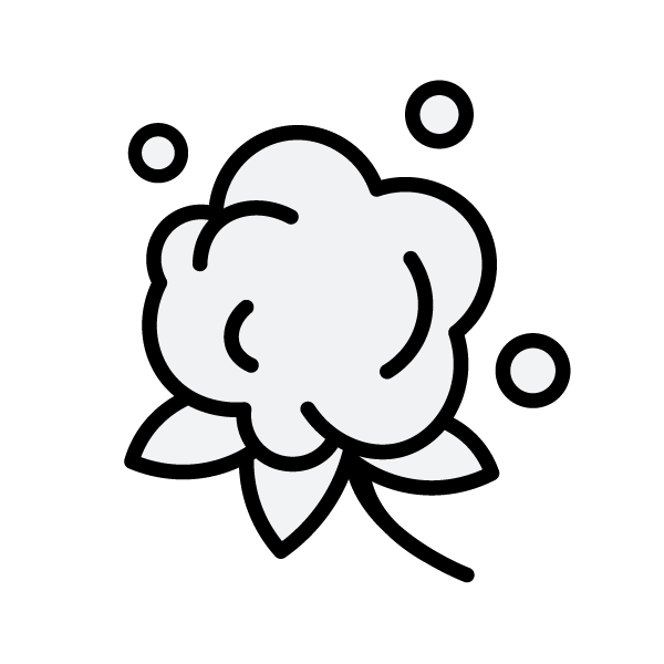 כותנה משובחת